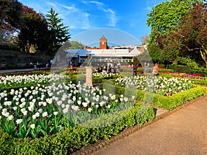 Holand park of London in springtime photo