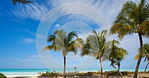 Holbox Island beach in Quintana Roo Mexico