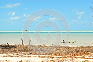 Holbox Island Caribbean Water Sports