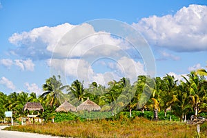 Holbox island palm tree huts Mexico