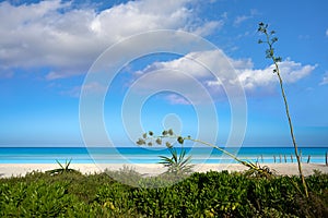 Holbox Island in Quintana Roo Mexico