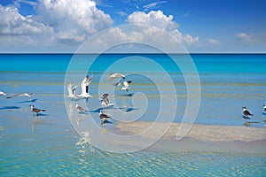 Holbox Island turquoise in Quintana Roo Mexico photo