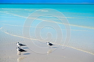 Holbox Island turquoise in Quintana Roo Mexico