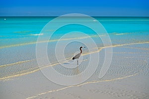 Holbox Island turquoise in Quintana Roo Mexico