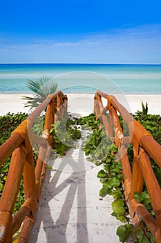 Holbox tropical Island in Quintana Roo Mexico photo