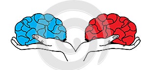 Hold the brain in hands red and blue opposites, feminine and masculine, illustration, vector