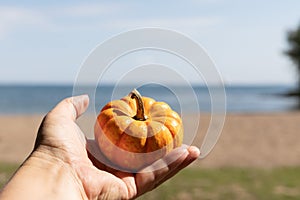 Hold Pumpkin. Pumking in hand. Small pumpkin.