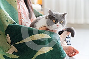 Holding a british shorthair cat in his arms