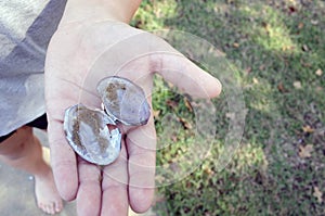 Holding Broken Mussel Shell