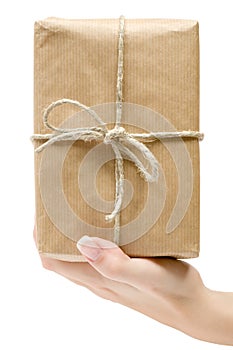 Holding a Brown Parcel