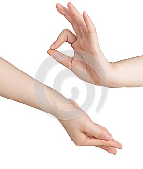 Holding Buddhist gesture on the white background