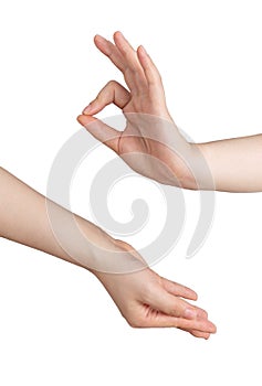 Holding Buddhist gesture on the white background