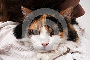 Holding a cat in arms