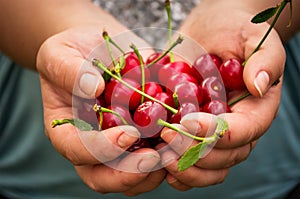 Holding cherries