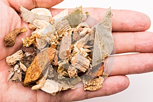 Holding Chinese traditional herbs.