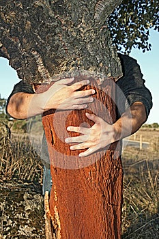 Holding cork tree