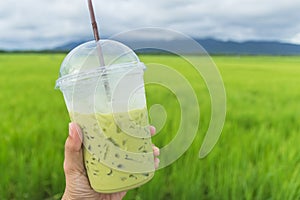 Holding a cup of milk greentea at the rice field