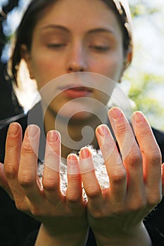 Holding Dandelion Seeds