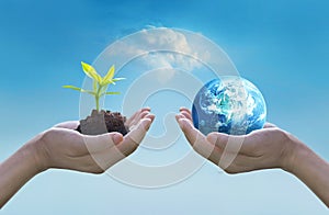 Holding earth and green tree in hands, world environment day concept, saving growing young tree photo