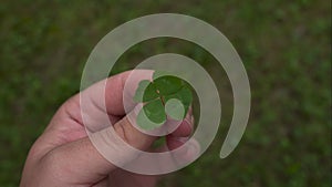 Holding a Four-Leaf Clover for Luck in hand