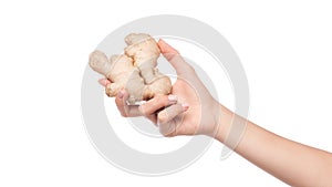 Holding ginger root isolated on white background