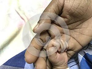 Holding hands of father and new born male child in hospital photo