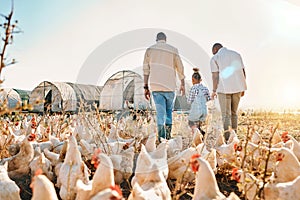 Holding hands, gay couple and chicken with black family on farm for agriculture, environment and bonding. Relax, lgbtq