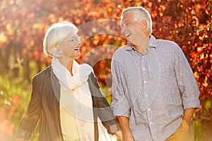 Holding hands, laughing and a senior couple in a vineyard, walking together while on a romantic date. Funny, love or