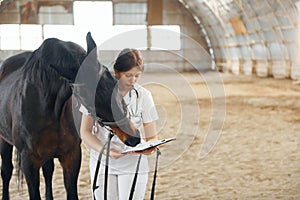 Holding notepad with results of check up. Female doctor in white coat is with horse on a stable