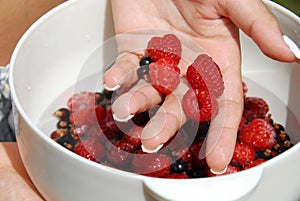 Holding raspberries in the hand