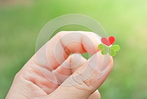 Holding red heart clover leaf