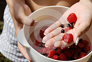 Holding red raspberries and currants in the hand