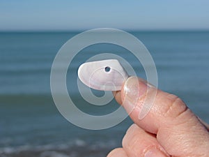 Holding a seashell in the hand with blue sea background