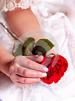 Holding singl red rose in woman hands.