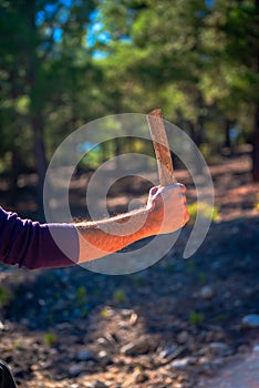 Holding a sturdy wooden rod in nature