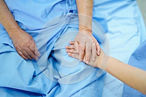 Holding Touching hands Asian senior or elderly old lady woman patient with love, care