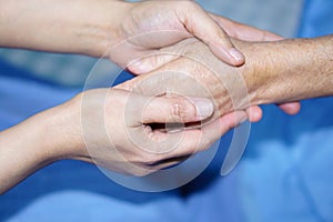 Holding Touching hands Asian senior or elderly old lady woman patient with love, care, helping, encourage and empathy.