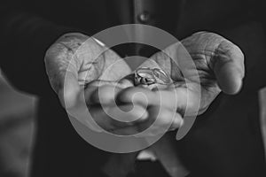 Holding two wedding rings in hands in black and white.