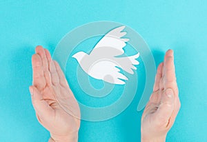 Holding a white dove in the hands, symbol of peace, paper cut out pigeon, copy space for text, blue colored background