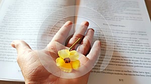 Holding a yellow flower over a book, educating with love