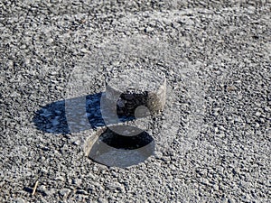 Hole in asphalt pavement, drilled cylindric specimen photo