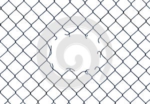 Hole In A Chain-Link Fence