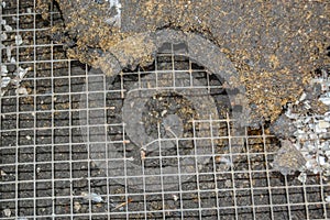 Hole chewed through Weld mesh in aviary by rats.