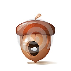 Hole eye in acorn, nuts illustration