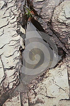 Hole formed by the erosion of river floods in a triangular shape, in white rocks on the banks of the river. Rock characteristic of