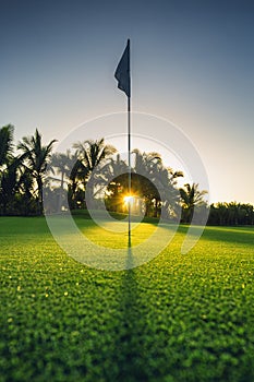 In the hole, golf course