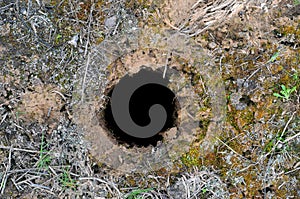 Hole in the ground