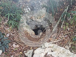 Hole in karst rock in the Guajataca forest in Puerto Rico photo