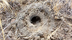 A hole in the middle of the dessert ground