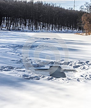 the hole in the snowy forest